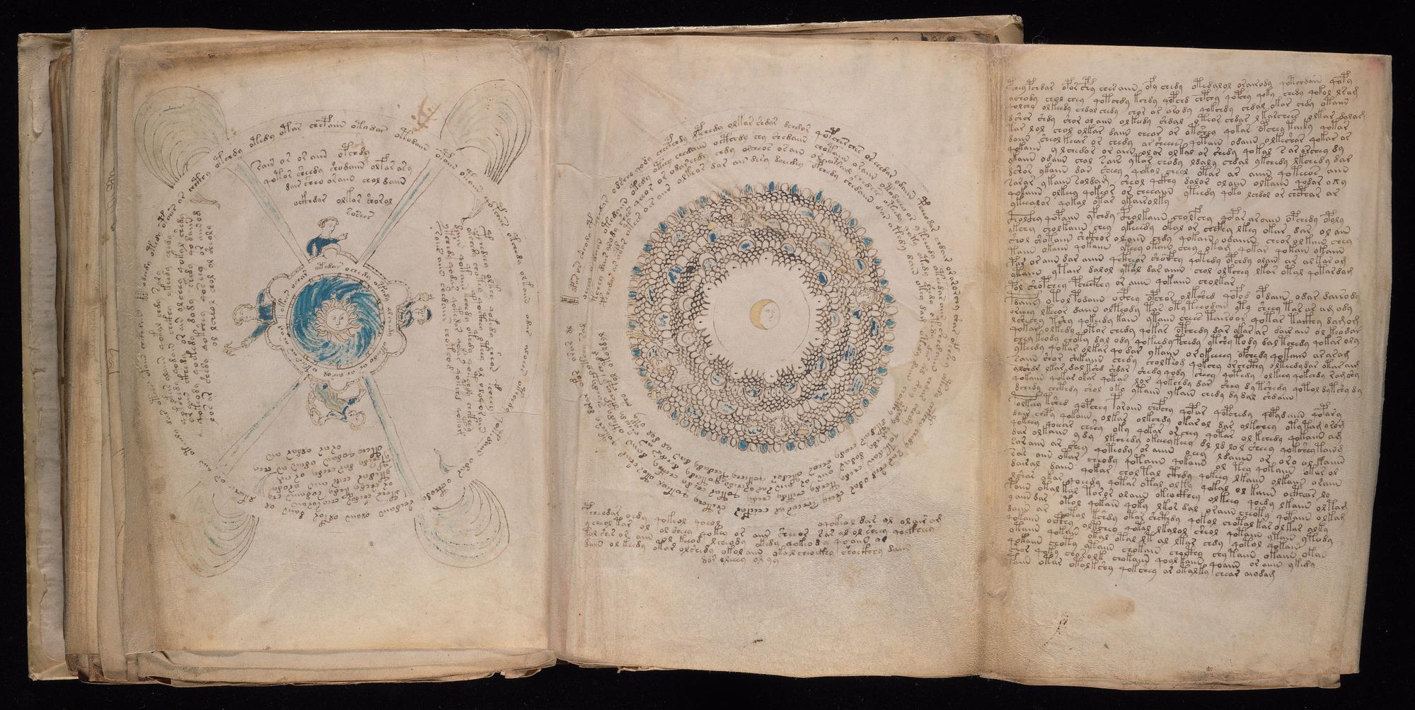 Voynich Manuscript folio f85r (part) — Beinecke MS 408